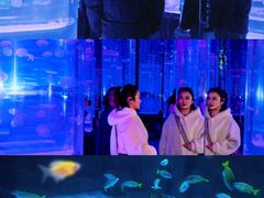 -海合安武汉极地海洋公园