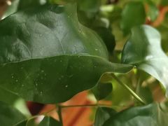 -金时代顺风大酒店(金山店)