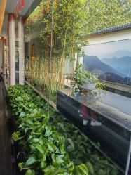 -爱儿美儿童摄影(朝阳公园店)