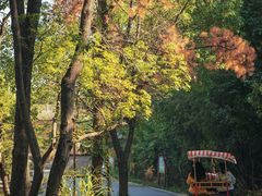 -青龙山国家森林公园