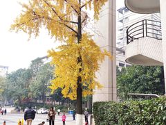 -重庆工商大学(南岸校区)