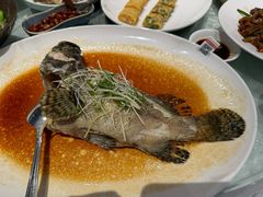 -侨美·唐荔园·40年地道粤菜