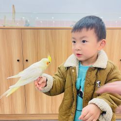 -Moni星球萌宠·小马宝莉·灵蛇·高端高阶全萌宠互动体验俱乐部(红豆国际广场店)