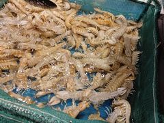 -初色海鲜自助(万丰路店)