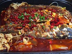 -龙门烤鱼(东方宝泰店)