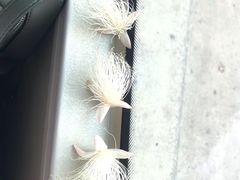 -吉林大学前卫南校区-湖畔餐厅