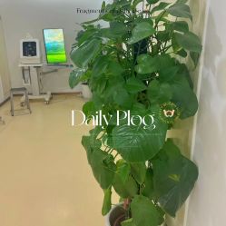 -成都西区医院整形美容