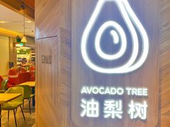 -油梨树AVOCADO TREE(嘉里中心店)