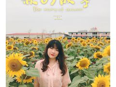 -映月湖中央公园