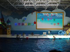 -蓬莱欧乐堡海洋极地世界