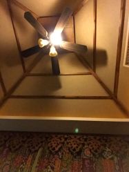 -蕾蕾美颜美容美体