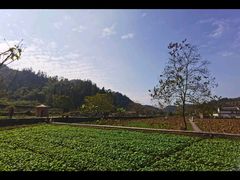 -塔川景区