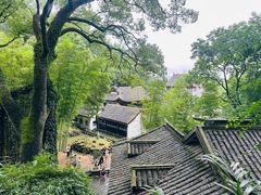 -岳麓山风景名胜区