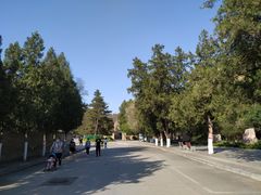 -延安杨家岭革命旧址