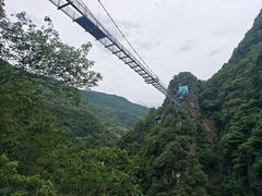 -宁波五龙潭景区