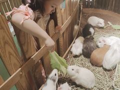 -藦茜花园宠物主题亲子互动体验馆(国顺东路店)