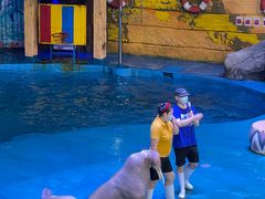 -烟台海昌鲸鲨海洋公园