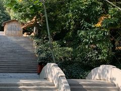 -石老人观光园