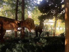 景点-自然谷恐龙园