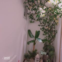 -丹漪·DANYI 美肤中心