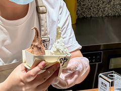 -野人先生Gelato(上海长宁龙之梦店)