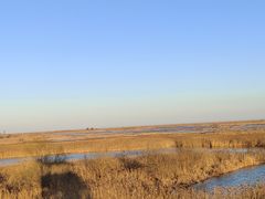 -盐城丹顶鹤湿地生态旅游区