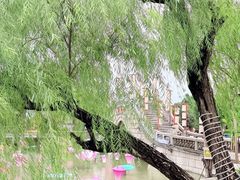 -中国翰园碑林