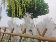 -咸阳湖景区