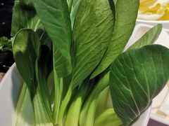 青菜-许府牛杂·鲜牛肉火锅(梁溪万达店)