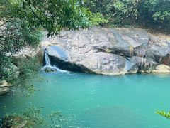 -广州白江湖森林公园