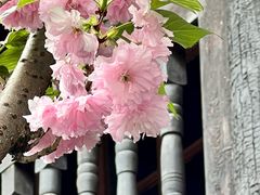 -蒋氏故居