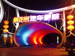 -枫花园汽车电影院(朝阳公园店)