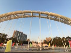 -福田红树林生态公园
