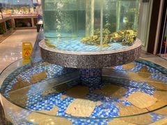 -海派美食·家宴海鲜青岛菜·石锅鲽鱼头(东方城店)