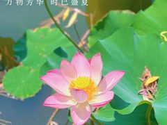 -南翠屏公园