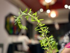 -江南雅厨(李公堤店)