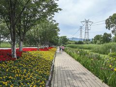 -长田漾湿地公园
