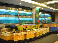 水产区-华兴大酒楼(亿宝大厦店)