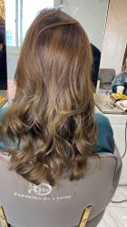 -潘多拉Hairsalon