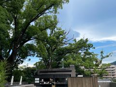 -来宫神社