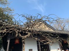 -何园
