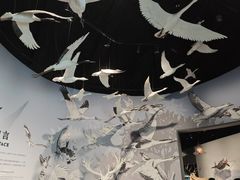 -中国湿地博物馆
