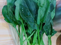 -蜀大侠火锅(四川北路店)