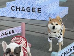 -沈阳铁西万象汇