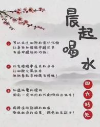 -香薇妮丝·定制减肥·身材管理