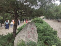 -府君山公园