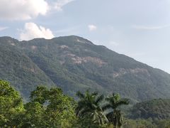 -广州市流溪河国家森林公园