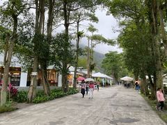 -瑞穗牧场
