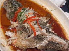 -院8里·小聚园老川菜(九眼桥店)