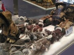 -济州岛泰迪熊博物馆